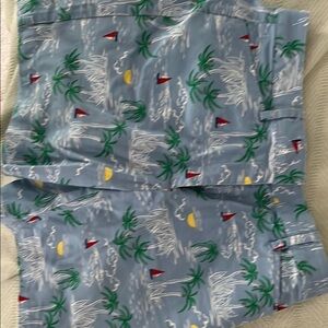 Lands' End Blue and Green Flat Front Shorts